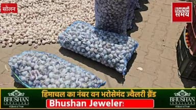 लहसुन के रेट में लगातार तेजी, जानिए क्या रहा भाव
हिमाचल समय - Himachal Samay Media #breakingnewstoday #schoolboard #Bre...