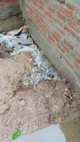 चंदला के घूरा पुरवा में ओले गिरे