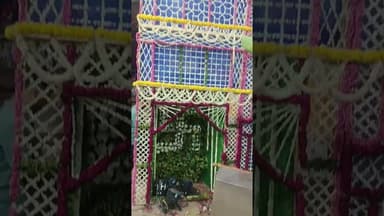 #श्री गोवर्धन गिरिराज जतीपुरा मुखारविंद के दर्शन@