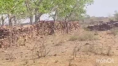 सरमथुरा: कूनो से धौलपुर-करौली टाइगर रिजर्व क्षेत्र में पहुंचा चीता, गाय का किया शिकार, वन विभाग की टीम कर रही ट्रेकिंग