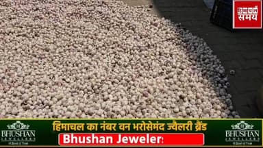 लहसुन के रेट में फिर आया जबरदस्त उछाल ,जानिए किस भाव विकास 7 मई को
हिमाचल समय - Himachal Samay Media #mcelectionsolan #s...