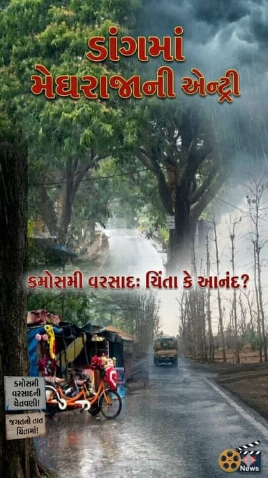 Latest News Dang ।। કમોસમી વરસાદથી સાપુતારામાં ખુશનુમા માહોલ, પણ જગતના તાતની ચિંતા વધી #saputara #dang #tapimitraofficia...