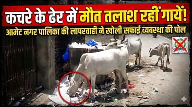कचरे के ढेर में मौत तलाश रहीं गायें! आमेट नगर पालिका की लापरवाही ने खोली सफाई व्यवस्था की पोल
#amet #ametnews #ametpoli...