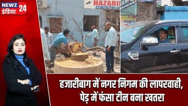 हजारीबाग में नगर निगम की लापरवाही, पेड़ में फंसा टीन बना खतरा | #Nagar_Nigam | Hazaribagh News