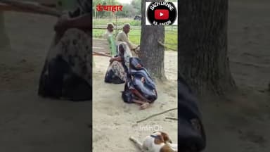 ऊंचाहार:संदिग्ध परिस्थितियों में युवक ने लगाई फांसी,गाँव में मचा कोहराम,, #sscscam #breakingnews