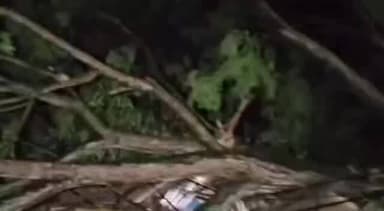 ডিফু: ৰাজ্যৰ ভিন্ন প্ৰান্তৰ লগতে বোকাজানতো ধুমুহা বৰষুণৰ লগতে প্ৰবল বৃষ্টিপাত,পথৰ মাজত গছ উভালি পৰাত ঠায়ে ঠায়ে ব্যাহত যাতায়ত
