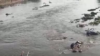 *नावली डैम के गेट खुलने से महुअर नदी का जलस्तर बढ़ा
करैरा : करैरा क्षेत्र में बहने वाली महुअर नदी का जलस्तर इन दिनों बढ़...
