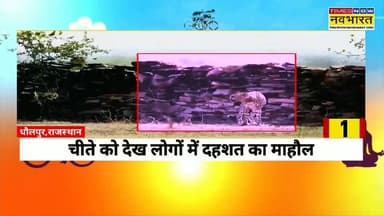 कूनो से धौलपुर आया चीता
#dholpur #DholpurNews #highlightseveryone #followerseveryone #dholpur_rajasthan #highlightsevery...