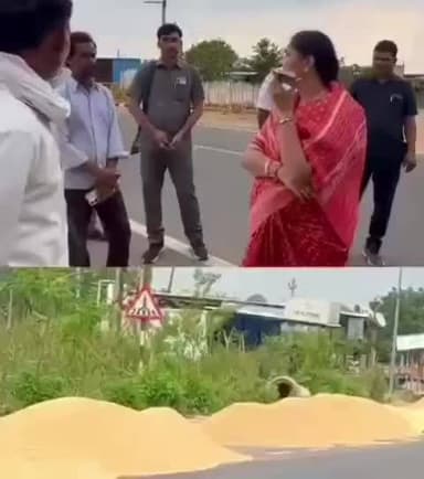 కౌడిపల్లి: వడ్లను వెంటనే కొనుగోలు చేయాలి: ఎమ్మెల్యే సునీత లక్ష్మారెడ్డి