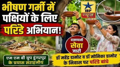 Dungarpur Breaking भीषण गर्मी में पक्षियों के लिए बांधे परिंडे और किया ऐसा काम कि #ibpnews #डूंगरपुर