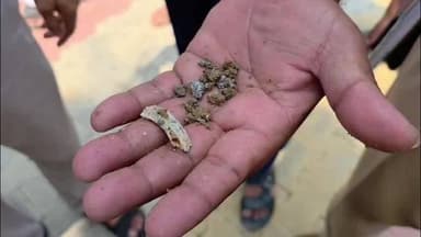मुज़फ्फरनगर: इंटर कॉलेज में ‘हड्डियों’ का रहस्य, खुदाई में निकली राख और अस्थियां, छात्रों में दहशत
