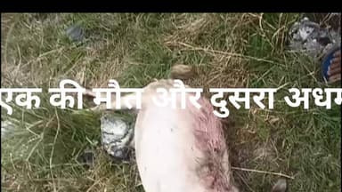 गुलदार का आतंक ग्राम पंचायत नौकोड़ी मेंलोगों में बना है भय का माहौल