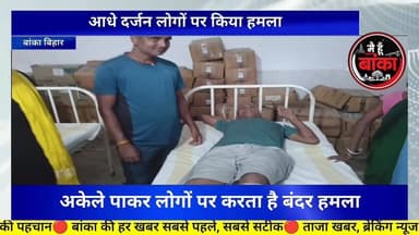 बांका, बंदरों का आतंक, आधे दर्जन लोगों पर हमला#Banka#Main Hun Banka#monkey attack#Bihar#live viral#