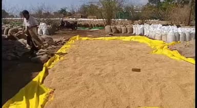 सिवनी: खरीदी केंद्रों में किसान परेशान: लंबी लाइन के बावजूद तुलाई नहीं होने से आंदोलन पर मजबूर