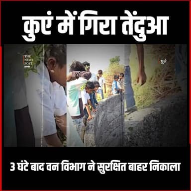 कुएं में गिरा तेंदुआ, 3 घंटे बाद वन विभाग ने सुरक्षित बाहर निकाला
#thenewspost #maharastra #tendua #thenewspost #mahar...