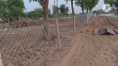 उचेहरा: उचेहरा में भू-माफियाओं के हौसले बुलंद, अस्पताल की सरकारी जमीन पर अवैध प्लाटिंग और निर्माण शुरू