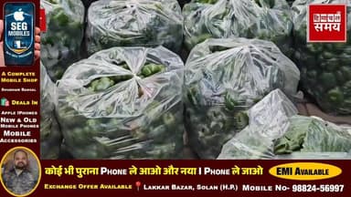 8 मई को सोलन सब्जी मंडी में भाव
हिमाचल समय - Himachal Samay Media #himachal #solansubjimandi #breakingnewstoday #Breakin...