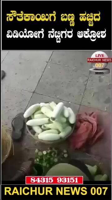 ಸೌತೆಕಾಯಿಗೆ ಫೆರನ್ ಲವ್ಲಿ ಹಚ್ಚುವ ಕಾಲ