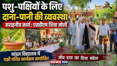 पशु-पक्षियों के लिए दाना-पानी की व्यवस्था सराहनीय कार्य : एसडीएम शिवा जोशी । #news #पाली