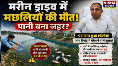 मुजफ्फरपुर मरीन ड्राइव में मछलियों की मौत से हड़कंप! पानी बना जहर?
#Muzaffarpur #MarineDrive #FishDeath #BreakingNews ...