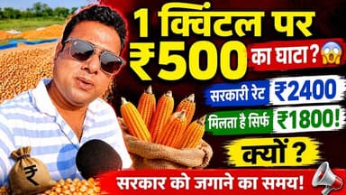 पसीने की कीमत सिर्फ ₹1800? 🚨 कसबा के किसानों का ₹500 प्रति क्विंटल का घाटा! अब तो जागिए...
#MakkaMSP #मक्का_भाव #MaizeP...