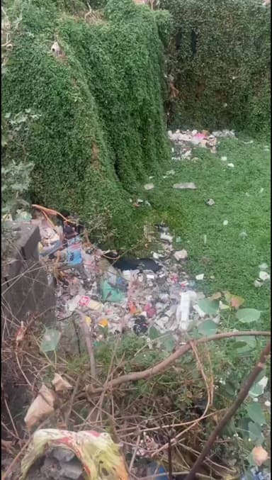 सातारा: साखरी तळे सातारा येथे गाई पडली