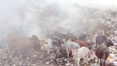 सुधागड: पालीतील डम्पिंग ग्राऊंड प्रदूषणाच्या विळख्यात