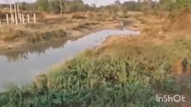करतला: कोरबा में सोन नदी का पारिस्थितिक तंत्र खतरे में, रेत तस्करों की गतिविधियों से हो रहा है तबाह