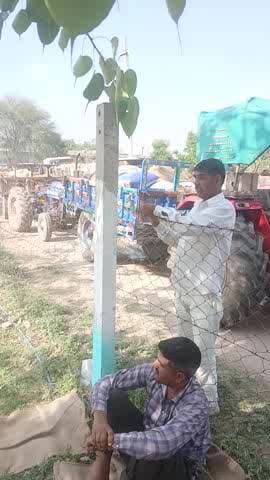 अजमेर जिले के नसीराबाद चना तुलाई केंद्र का चना दिलवाडा गांव मे तुल रहा है! दिलवाडा