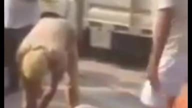प्रयागराज के गंगापार क्षेत्र में सरायइनायत थाना अंतर्गत हनुमानगंज बाजार में शनिवार सुबह तेज रफ्तार डंपर की चपेट में आने ...