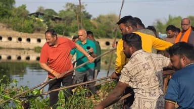 ➡️ स्वस्थ जीवन के लिए नदियों का स्वच्छ होना आवश्यक : श्री मोहन नागर
➡️ माचना नदी को जलकुम्भी से मुक्त करने उठे सैंकडों ...