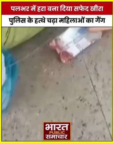 बिहार के कटिहार में महिलाओं का एक गैंग खीरे को केमिकल से हरा कर रहा था