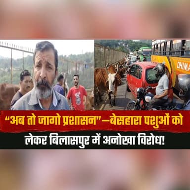 “अब तो जागो प्रशासन”
बेसहारा पशुओं को लेकर बिलासपुर में अनोखा वि.| रोध!
#Bilaspur #StrayAnimals #AnimalIssue #PublicPro...