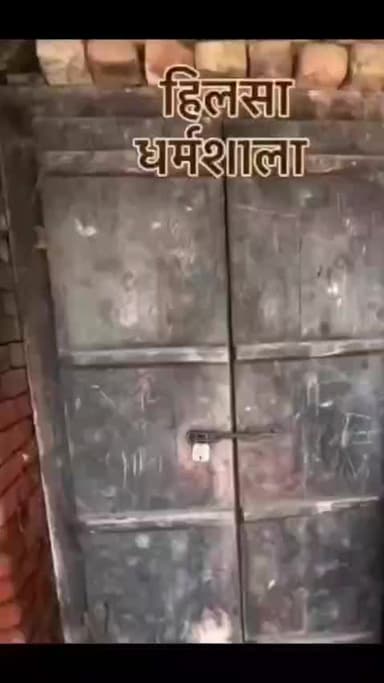 Hilsa viral information