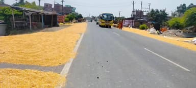 सूरजगढ़: मेदनी चौकी क्षेत्र में NH-80 बना मकई सुखाने का खलिहान, किसानों की मनमानी से लोगों की जान जोखिम में