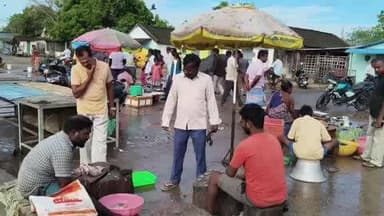 கடலூர்: முது நகரில் மீன்களின் விலை கடும் உயர்வு,