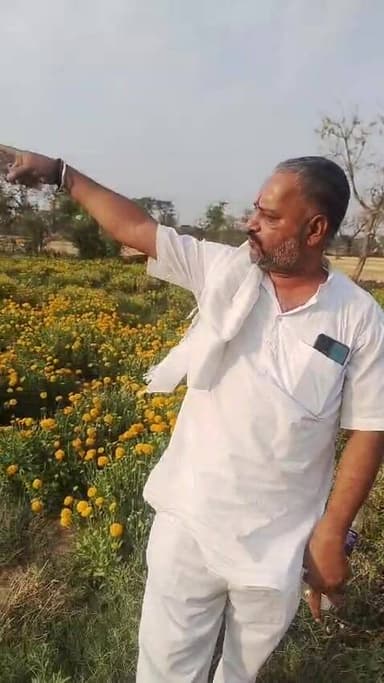 #successstory
पारंपरिक खेती से उद्यानिकी कृषि की ओर बढ़ते किसान
पिछोर के ग्राम बाचरौन के किसान राजीव पाठक ग्लाडिया फूल...
