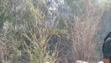 नाचना फंटा पर फिर से लगी आ!ग, सेना के जवानो व दमकल द्वारा आ!ग बु!झाने का लगातर कर रही प्रयास...
#जैसलमेर #jaisalmer #ba...