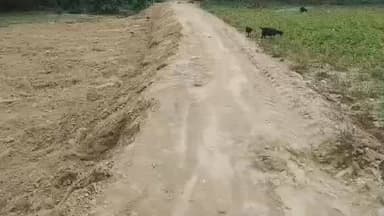 বিলোনিয়া: ঋষ্যমুখ মুসলিম পাড়ায় বুলডজার দিয়ে সরকারী রাস্তা কেটে চলাচক বদ্ধ,এলাকায় ক্ষোভ
