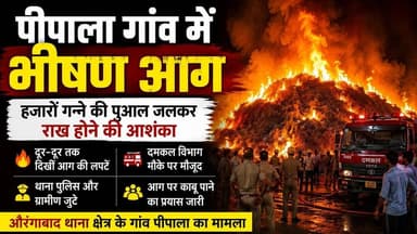 #बुलंदशहर #औरंगाबाद #पीपाला गांव में भीषण आग, हजारों गन्ने की पुआल जलकर राख होने की आशंका।