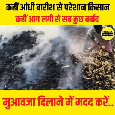 आग लगने से मक्का फसल बर्बाद! परिवार वालों का बुरा हाल....
#makka #biharnews #viralvideos #viralreelschallenge #SadNews ...