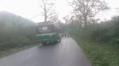 లోతు గడ్డ సమీపంలో రోడ్డుకు అడ్డంగా కూలిన భారీ వృక్షం, ట్రాఫిక్ జామ్