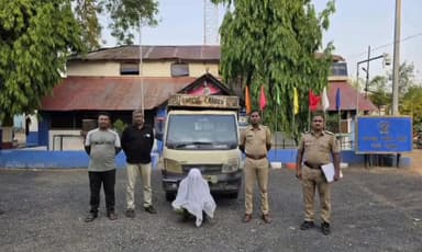 तेल्हारा: हिवरखेड पोलिसांची मोठी कारवाई; ४० गोवंश कातडींसह अडीच लाखांचा मुद्देमाल जप्त