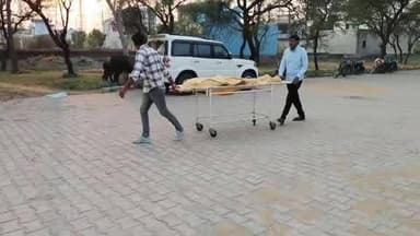 लोहारू: बिसलवास पावर हाउस के पास हादसा, नीलगाय से बचने में पेड़ से टकराई कार, नवविवाहित युवक की मौत