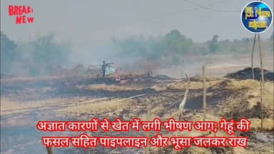 अज्ञात कारणों से खेत में लगी भीषण आग; गेहूं की फसल सहित पाइपलाइन और भूसा जलकर राख
#पन्ना #raipura #किसान