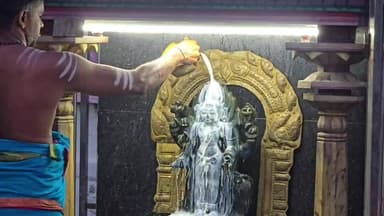 கள்ளக்குறிச்சி: ஏமப்பேர் காசி விசுவநாதர் திருக்கோயில் காலபைரவருக்கு நடைபெற்ற சிறப்பு அபிஷேக வழிபாடு