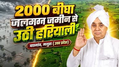 2000 बीघा जलमग्न जमीन से उठी हरियाली | मथुरा जिले के बछगांव में बदली किसानों की किस्मत। Mathura
#SantRampalJiMaharaj #S...
