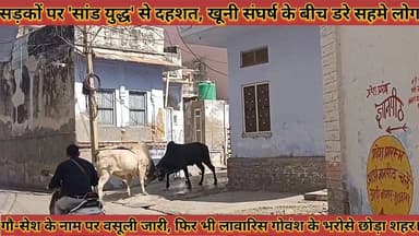 #सड़कों_पर_युद्ध_से_दहशत_संघर्ष_के_बीच_डरे_सहमे_लोग #प्रशासन_की_अनदेखी_गौ_सेश_के_नाम_पर_वसूली_जारी
#sadako #par #yudh #s...