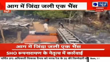 सादडी मोड़िया बांध के पास भीषण आग, एक भैंस की मौत; तीन बछड़े झुलसे, कई बाड़े और चारा जलकर राख रिपोर्ट प्रहलादसिंह इंडिया...