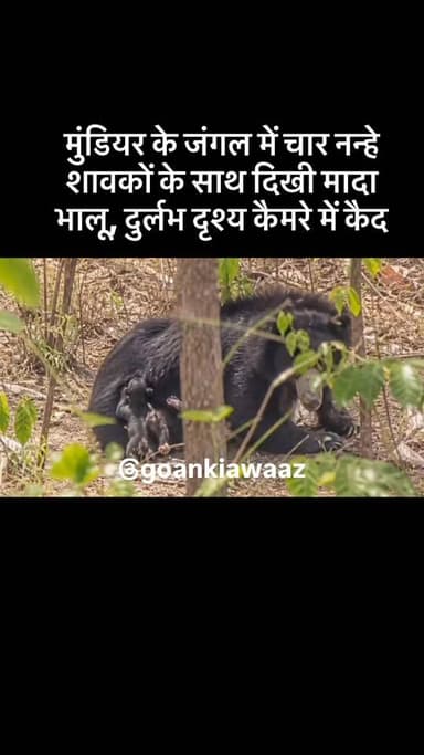 #viral #goankiawaaz #गांवकीआवाज #village